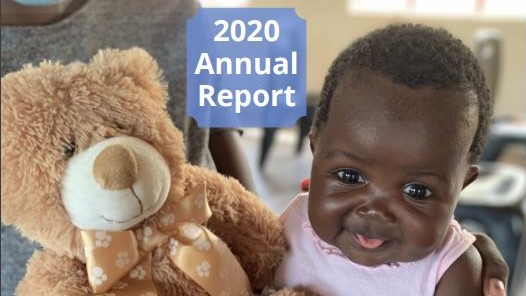 2020 Annual Report cover – crop