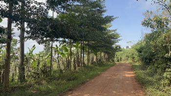 Lenora Gauthier journal: The Road We Walk