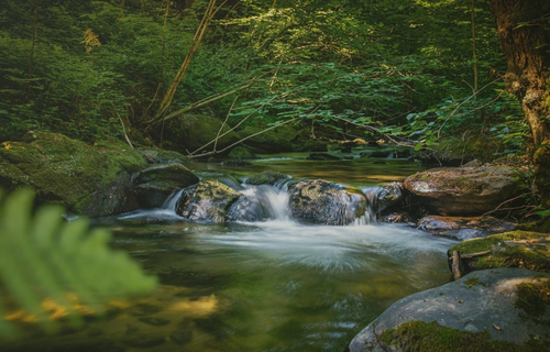 blog isolation stream
